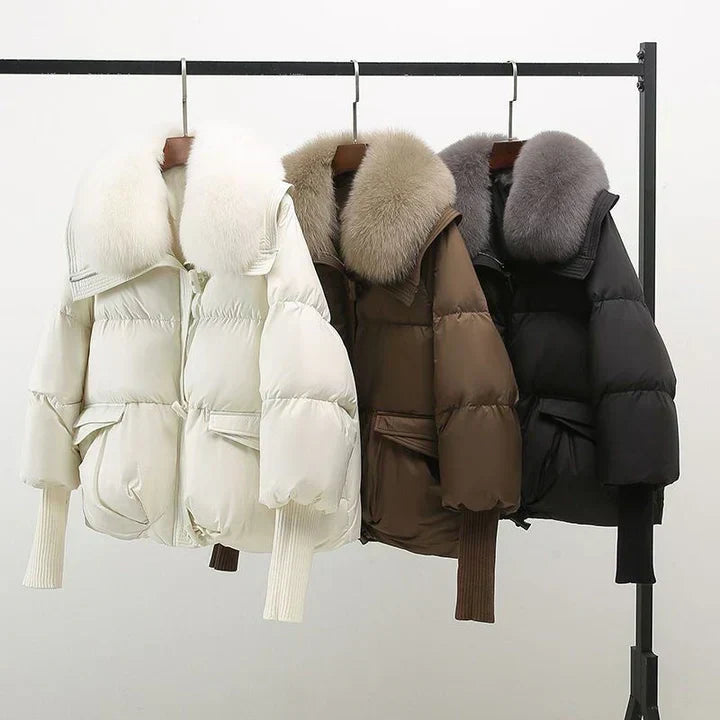 Indiâ„¢ - Jacket
