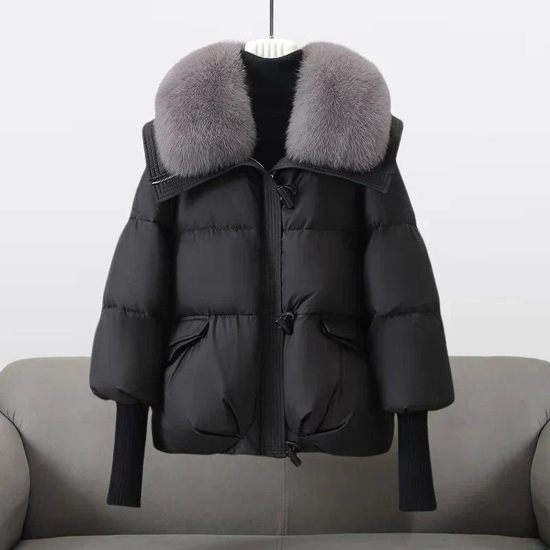 Indiâ„¢ - Jacket